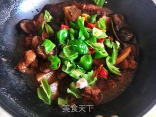 黄焖鸡的做法步骤：10