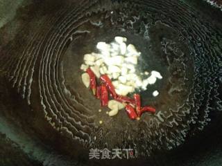 香菜炒面筋的做法步骤：4