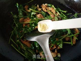 香菜炒面筋的做法步骤：9