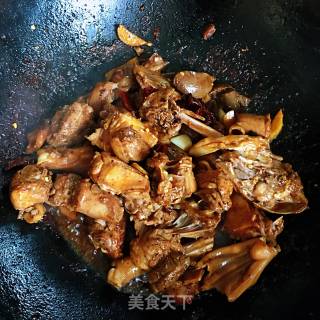 红烧鸭的做法步骤：5