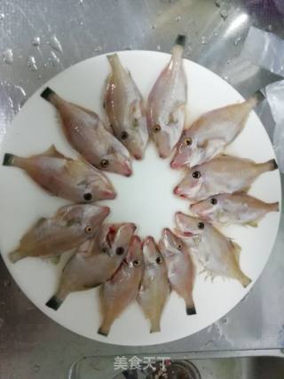 小满日食记《家常炖自钓的小牛鱼》的做法步骤：2