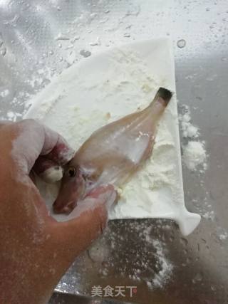 小满日食记《家常炖自钓的小牛鱼》的做法步骤：3
