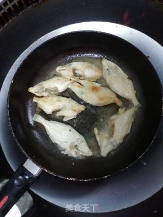 小满日食记《家常炖自钓的小牛鱼》的做法步骤：4