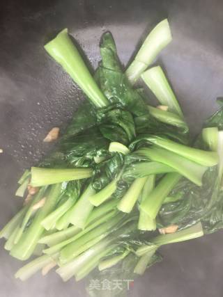 蒜香油菜的做法步骤：4