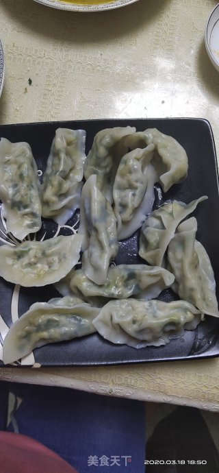青菜肉馅饺子的做法步骤：11