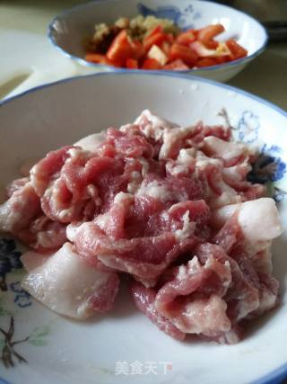 木耳肉片的做法步骤：4