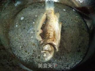 鲫鱼豆腐汤的做法步骤：6