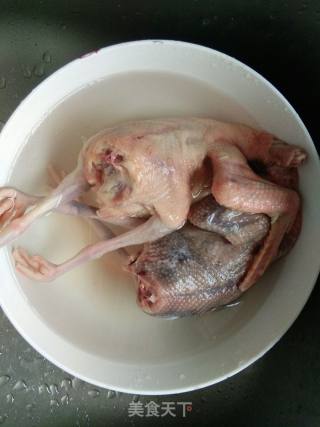 电饭煲烧鸽的做法步骤：1