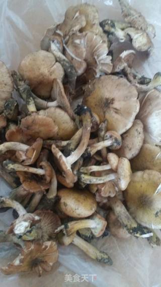 鸡腿榛磨炖土豆的做法步骤：1
