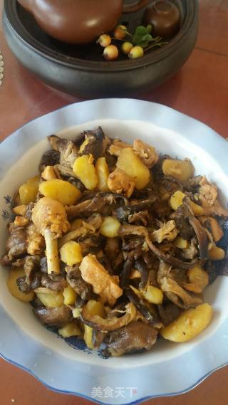 鸡腿榛磨炖土豆的做法步骤：6