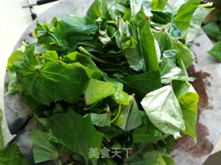 蒜蓉红薯叶的做法步骤：2