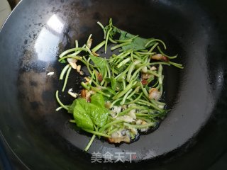 蒜蓉红薯叶的做法步骤：5