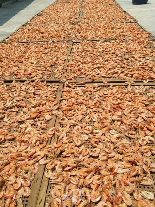 传统虾干制作的做法步骤：5