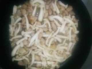 白玉菇炒鸡肉的做法步骤：6