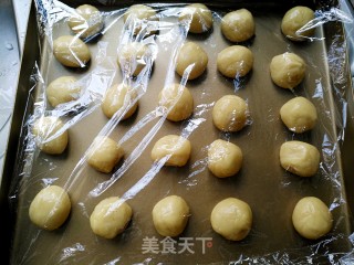椰蓉蔓越莓月饼的做法步骤：9
