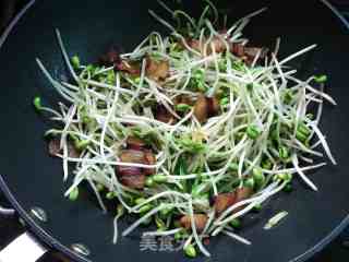 腊肉炒豆芽的做法步骤：6
