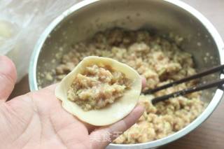 包菜肉饺子的做法步骤：5