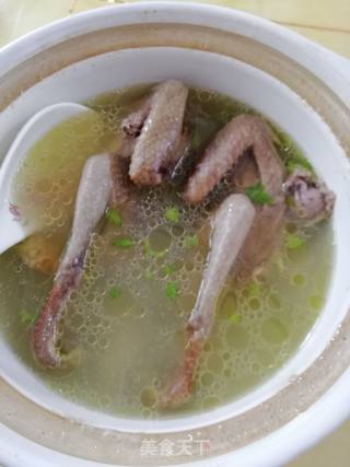 鸽子汤的做法步骤：4