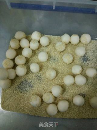 脆糯香麻枣的做法步骤：8