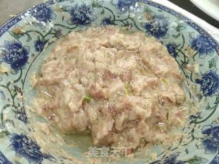 南煎肉饼的做法步骤：5