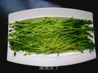 茄汁豌豆苗的做法步骤：4