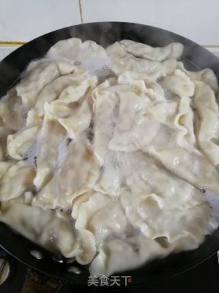 木耳韭菜猪肉饺子的做法步骤：9