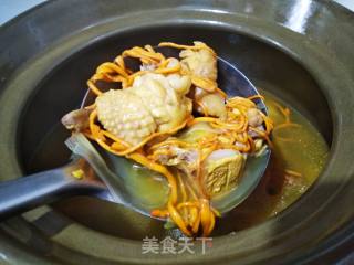 虫草花鸡汤的做法步骤：11