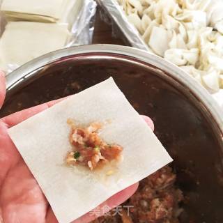 鲜肉小馄饨的做法步骤：3
