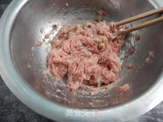 萝卜丝煎饺的做法步骤：2