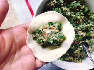 韭菜猪肉馅水饺的做法步骤：7