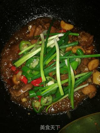 干锅啤酒鸭的做法步骤：8