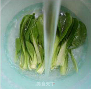 青菜虾仁炒面的做法步骤：4