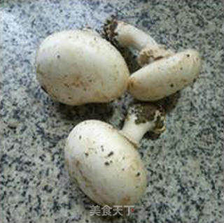 鲜蘑菇炒圆白菜的做法步骤：2