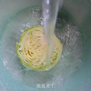 鲜蘑菇炒圆白菜的做法步骤：3