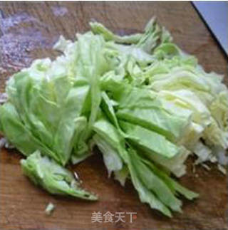 鲜蘑菇炒圆白菜的做法步骤：4