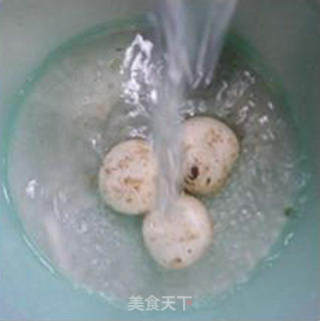 鲜蘑菇炒圆白菜的做法步骤：5