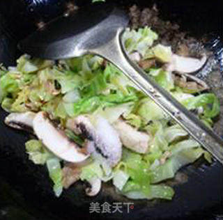 鲜蘑菇炒圆白菜的做法步骤：9