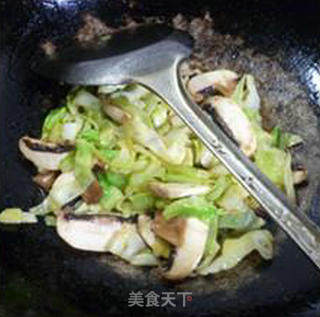 鲜蘑菇炒圆白菜的做法步骤：10