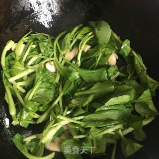 青菜炒蘑菇的做法步骤：4