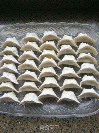 鲜肉韭菜水饺的做法步骤：9