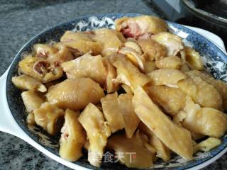 凉拌鸡的做法步骤：15