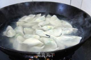 西葫芦韭菜鸡蛋馅水饺的做法步骤：7
