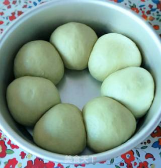 绿茶粉面包的做法步骤：7