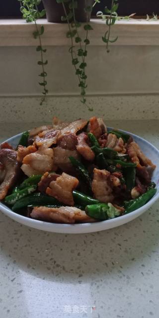 农家小炒肉的做法步骤：6