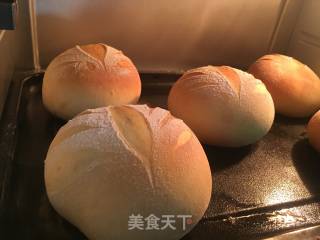 蜜红豆小面包的做法步骤：13