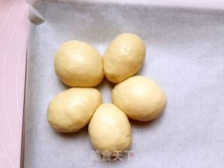 椰蓉面包的做法步骤：20