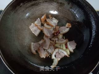 香菜炒猪鼻的做法步骤：6