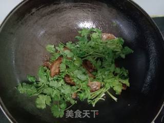 香菜炒猪鼻的做法步骤：10