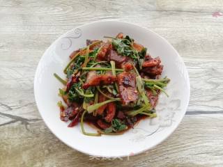 香菜炒猪鼻的做法步骤：11