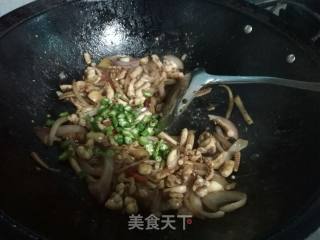 辣炒鱿鱼的做法步骤：9